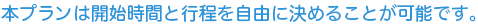 本プランは開始時間と行程を自由に決めることが可能です。